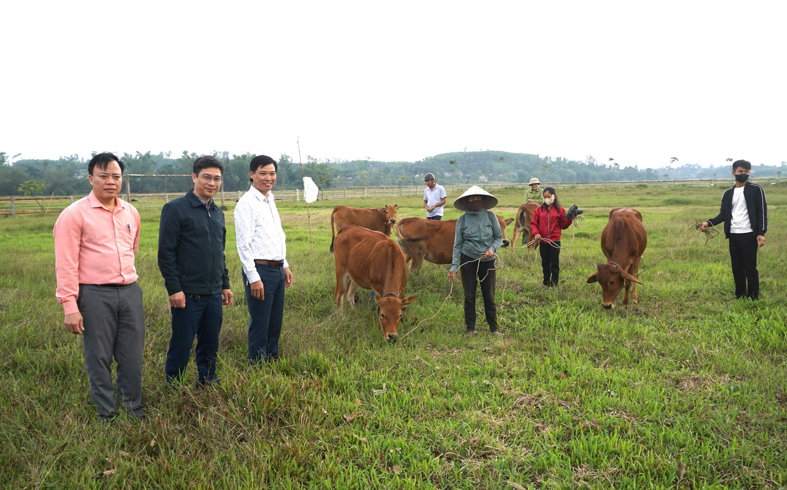 Trao 27 con bò giống cho các hộ nghèo, cận nghèo, khó khăn tại xã Hương Phố