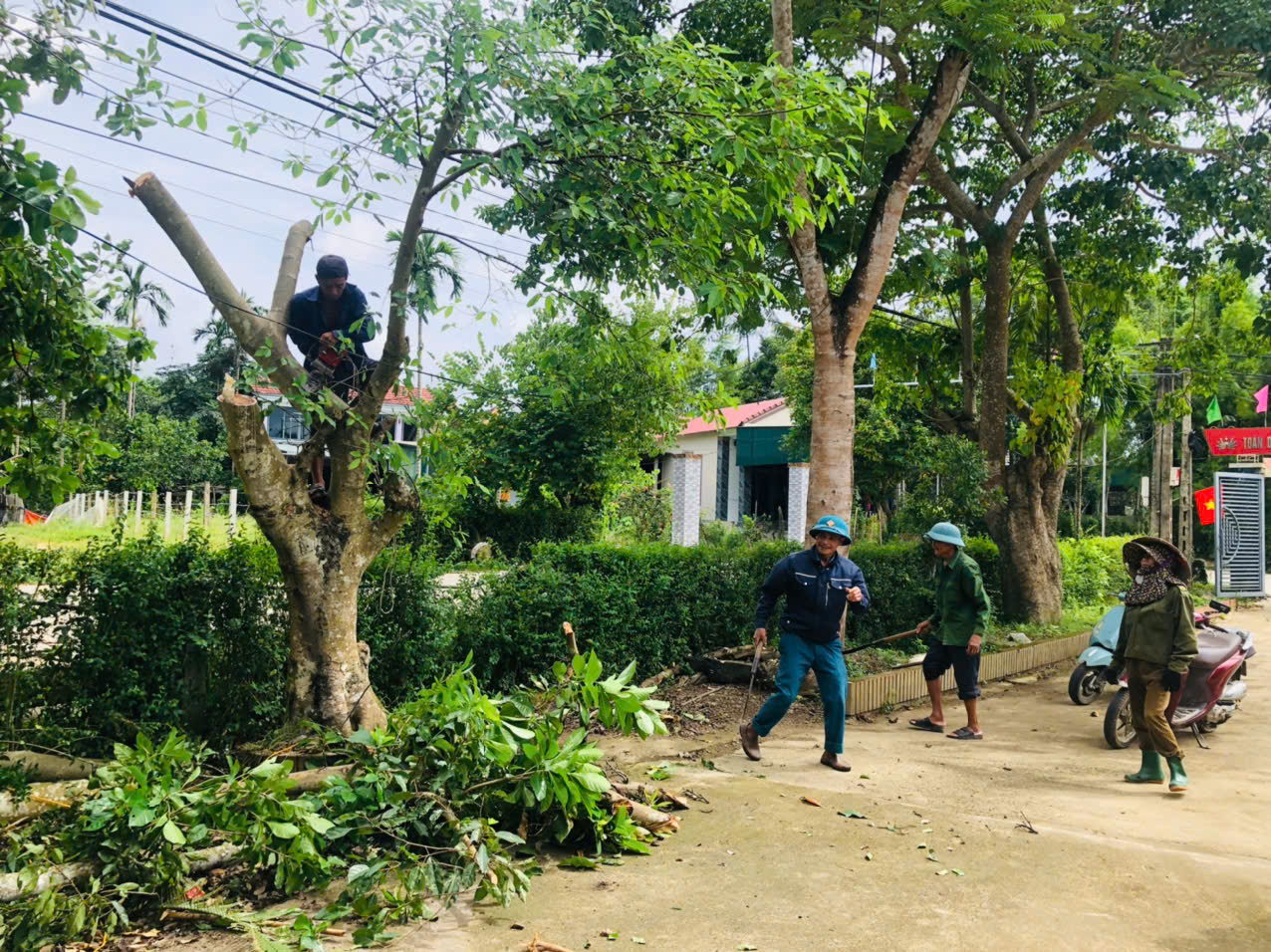 CẢ HỆ THỐNG CHÍNH TRỊ XÃ HƯƠNG PHỐ TẬP TRUNG CÁC GIẢI PHÁP PHÒNG, CHỐNG BÃO SỐ 5 BẰNG CÁC VIỆC LÀM CỤ THỂ