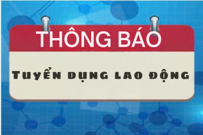  CẬP NHẬT NHU CẦU TUYỂN DỤNG THÁNG 11/2025