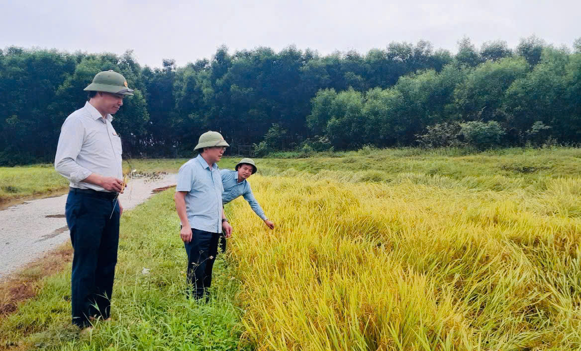 Đồng chí Bí thư Đảng ủy xã Hương Phố trực tiếp kiểm tra, chỉ đạo khắc phục thiệt hại sau mưa giông