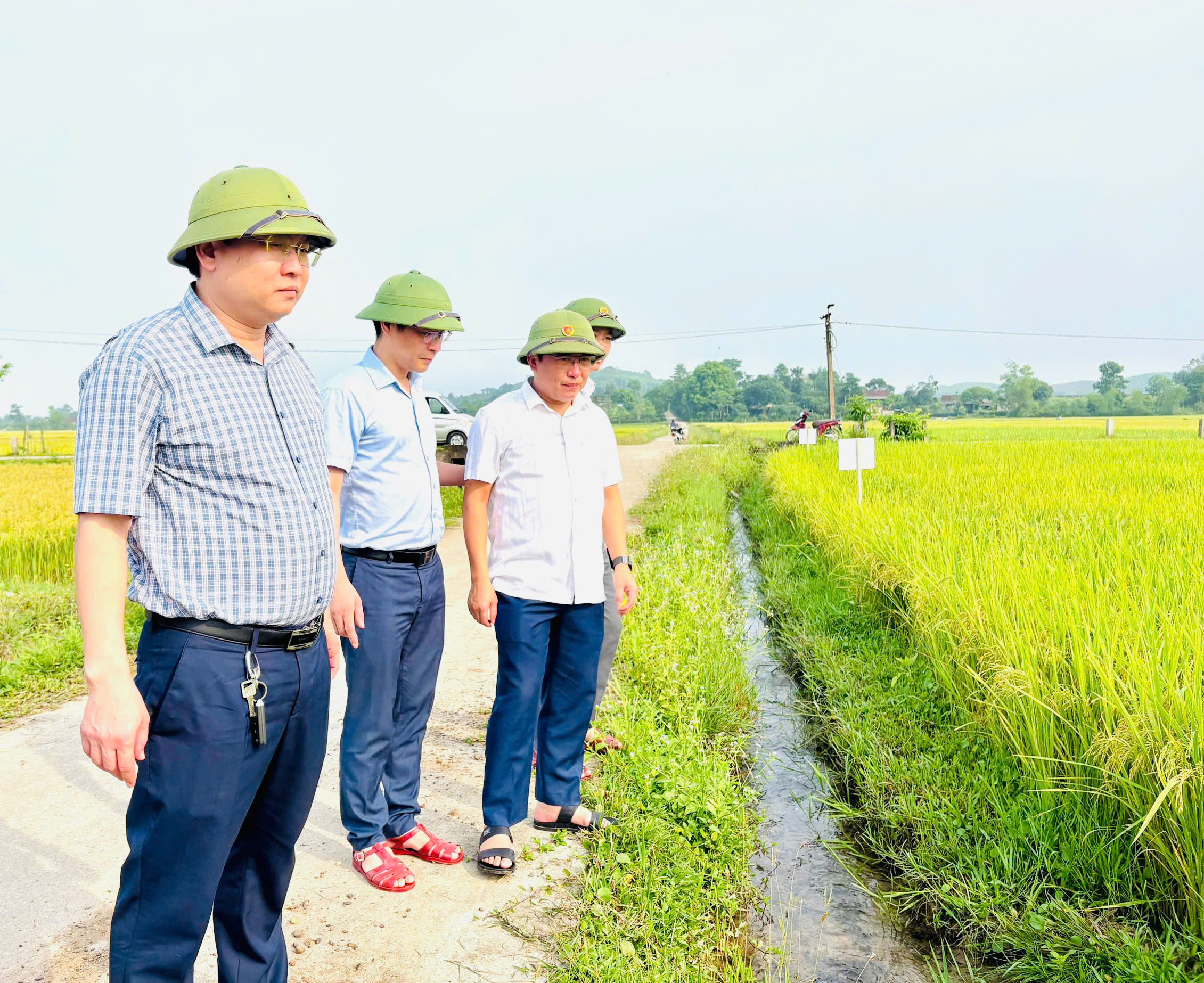           Hương Phố đánh giá năng suất các loại cây trồng vụ Xuân năm 2026