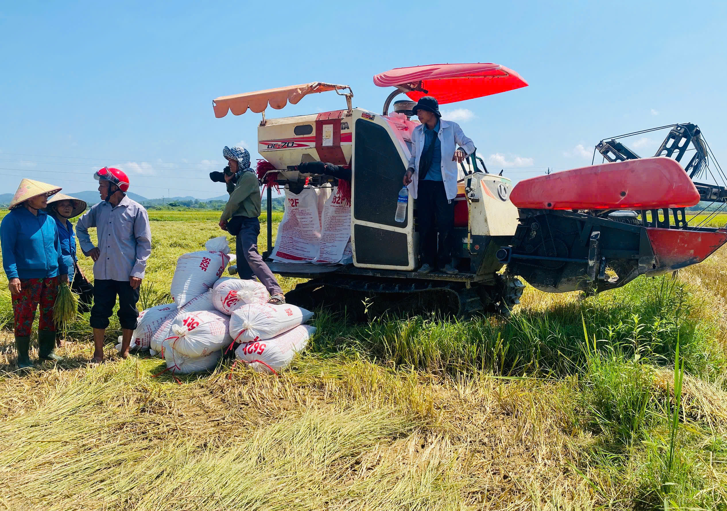 Tranh thủ thời tiết thuận lợi, nông dân Hương Phố đẩy nhanh tiến độ thu hoạch lúa vụ Xuân