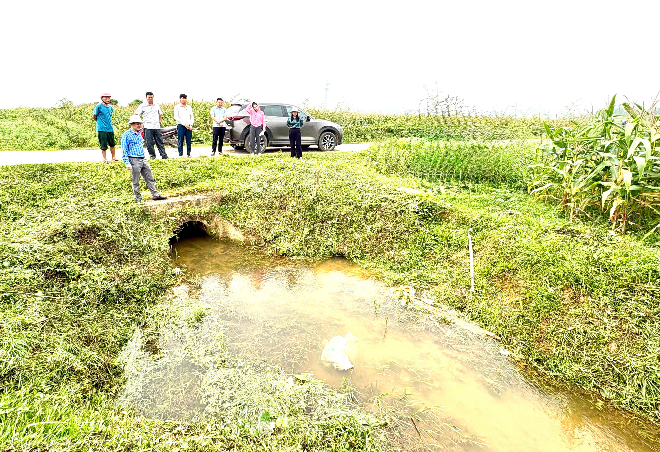 Lãnh đạo xã Hương Phố kiểm tra công tác điều tiết nước và phòng trừ sâu bệnh trên lúa vụ Xuân