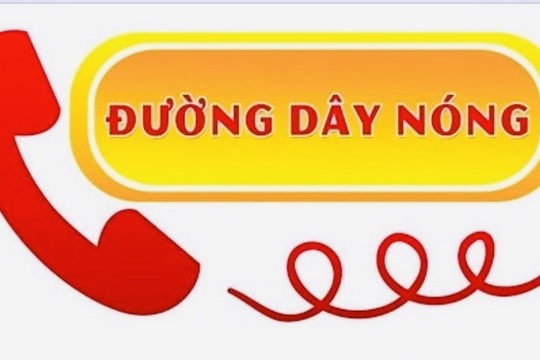 Thông báo về việc công khai đường dây nóng tiếp nhận phản ánh, kiến nghị về tình trạng lạm thu và dạy thêm, học thêm trái quy định trong các cơ sở giáo dục trên địa bàn