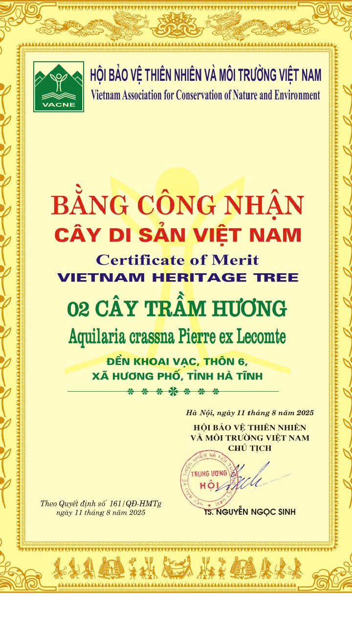 Hội Bảo vệ Thiên nhiên và Môi trường Việt Nam công nhận 02 cây Trầm Hương tại đền Khoai Vạc, thôn Khoai Vạc, xã Hương Phố, tỉnh Hà Tĩnh là cây di sản Việt Nam 